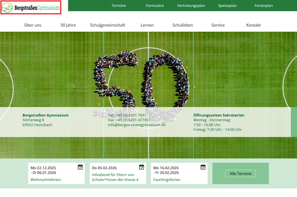 Logo von Bergstrassengymnasium